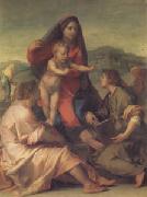 Andrea del Sarto The Madonna of the Stair (san05)